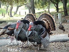 Furaj Curcan faza 2 granulat 250kg. Reducere 50 lei !