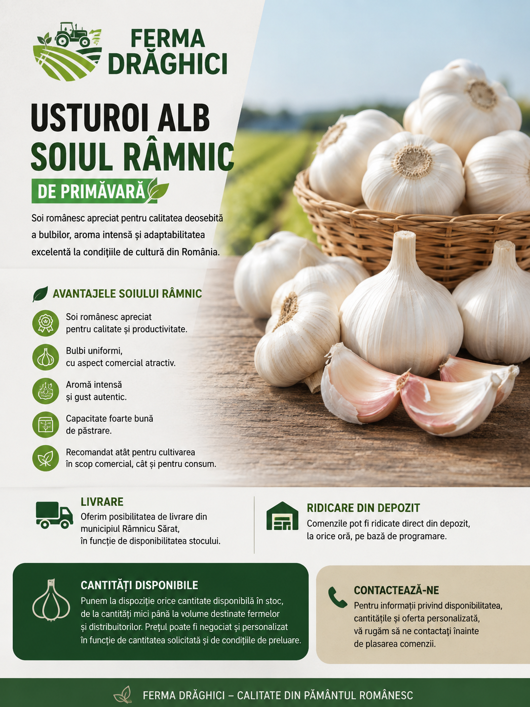 Usturoi de Buzau - 10kg de Primavara