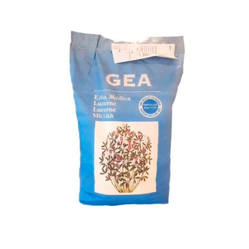 Samanta Lucerna Gea  - 50 kg